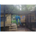 Chain Link Animal or Pet Fencing (TS-E56)